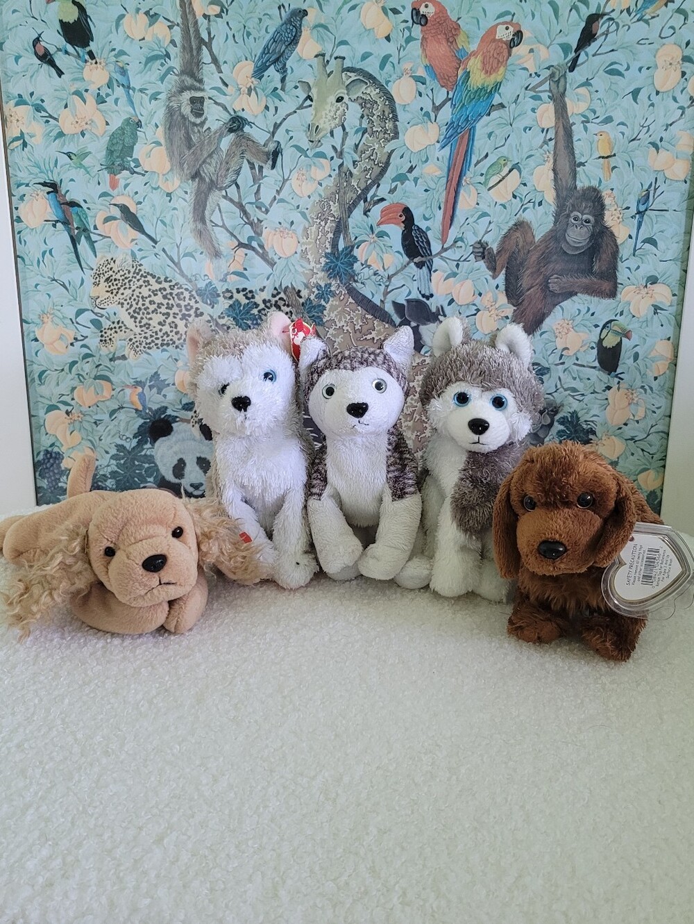 Five Dog Beanie Babies | Ty